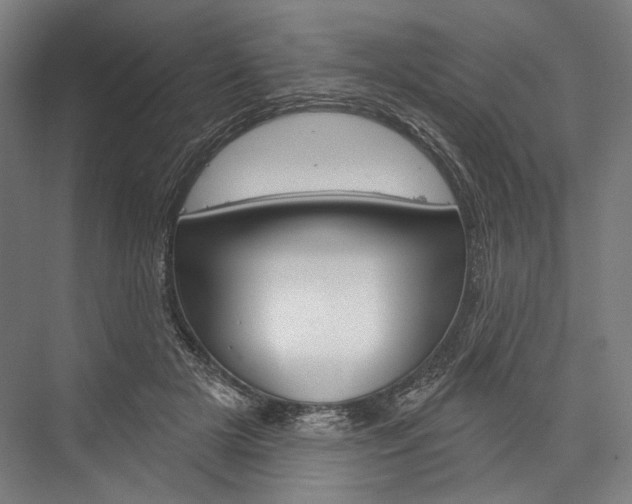 X0000076440505200610061029