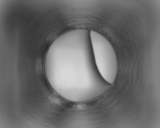 X0000076440506200610061029