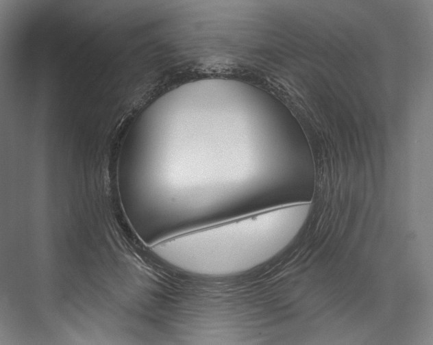 X0000076440508200610061029
