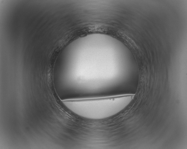 X0000076440513200610061029