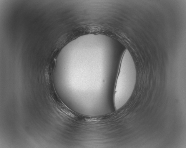 X0000076440516200610061028