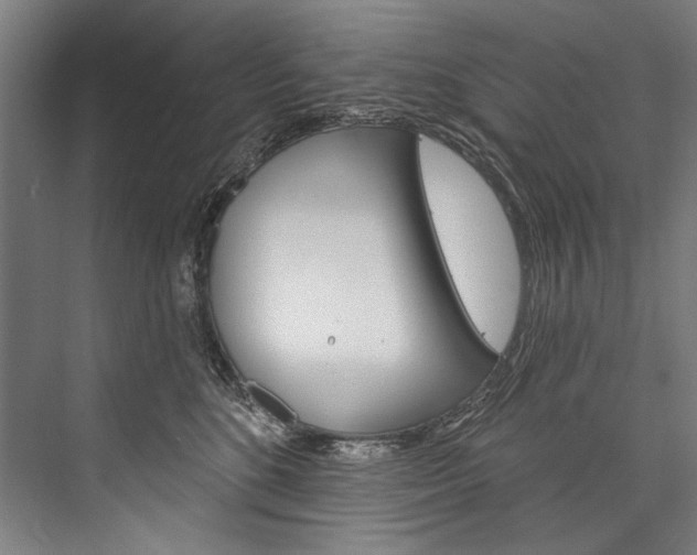 X0000076440520200610061028