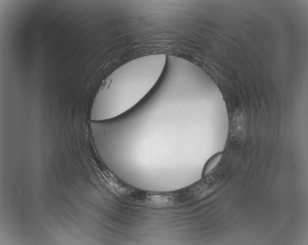 X0000076440522200610061028