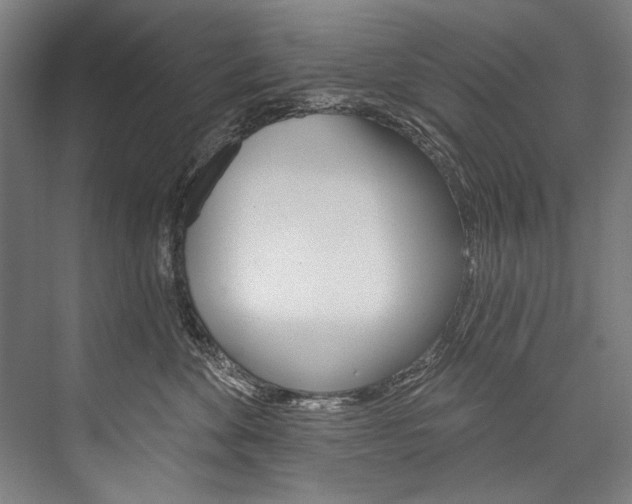 X0000076440524200610061028