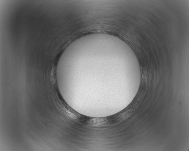 X0000076440526200610061028