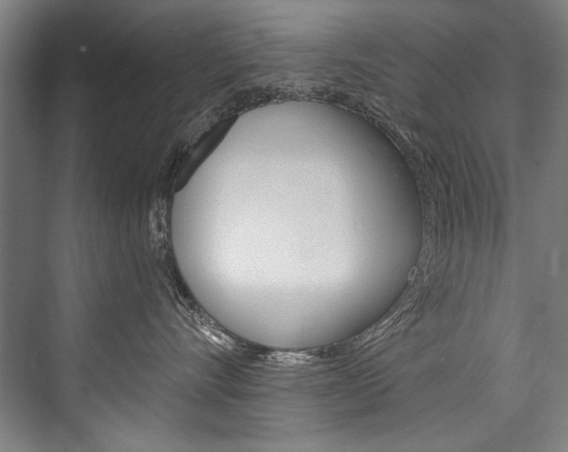X0000076440528200610061028