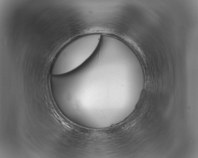 X0000076440529200610061027