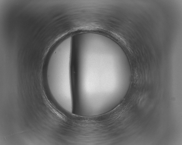 X0000076440535200610061028
