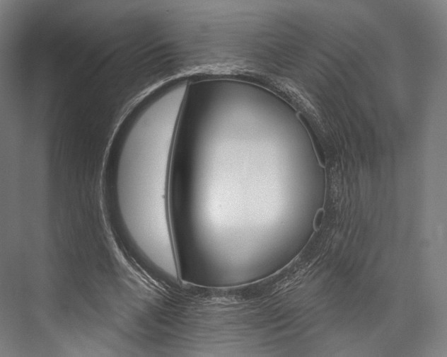 X0000076440536200610061028