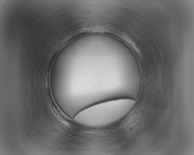 X0000076440537200610061028
