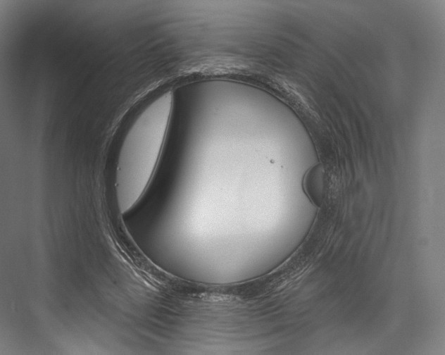X0000076440539200610061028