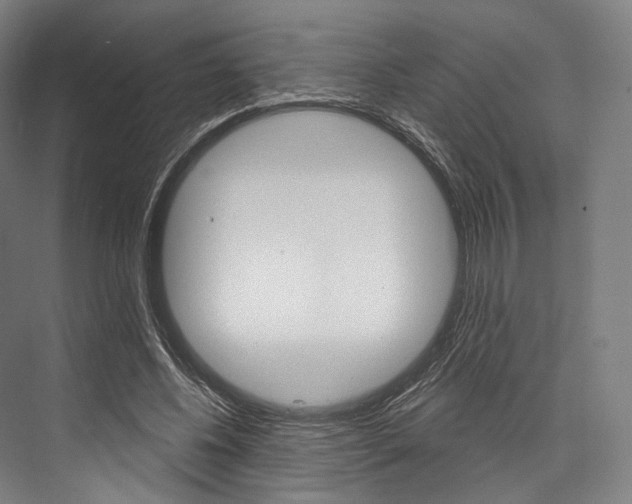X0000076440540200610061028