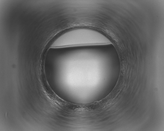 X0000076440544200610061028