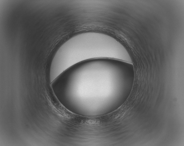 X0000076440546200610061028