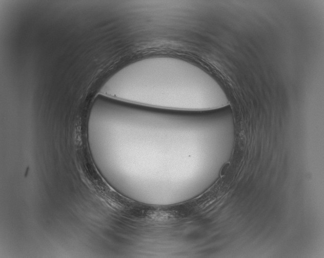 X0000076440547200610061028