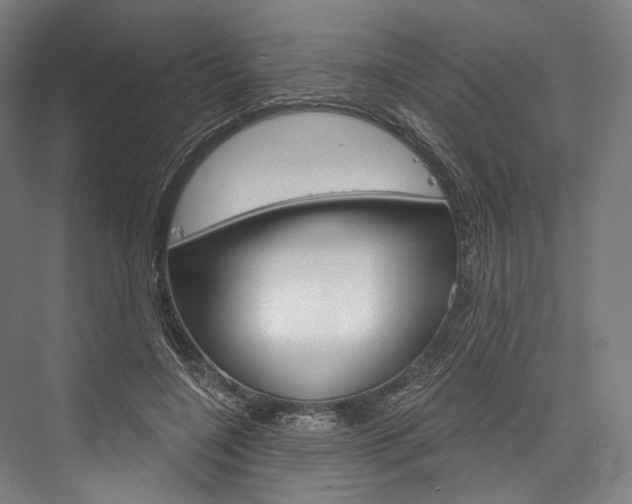 X0000076440548200610061028