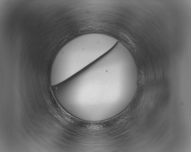 X0000076440549200610061028