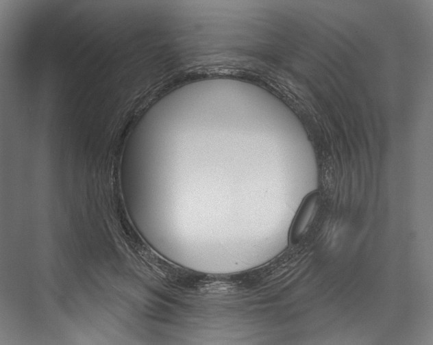 X0000076440551200610061028