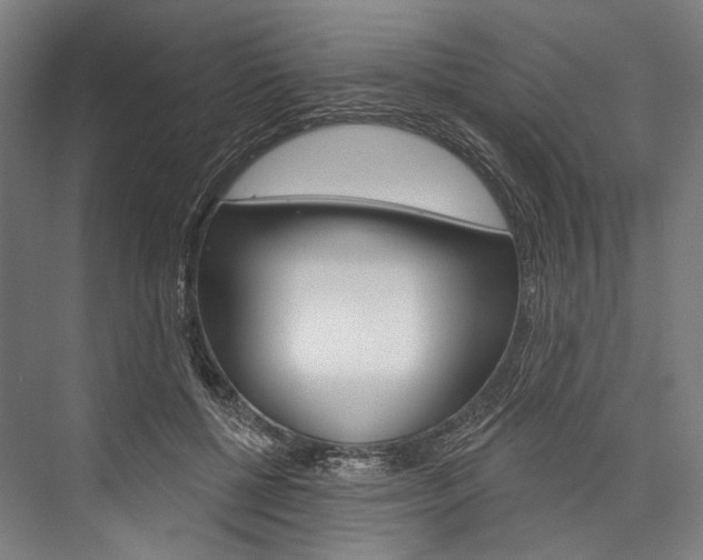 X0000076440552200610061028