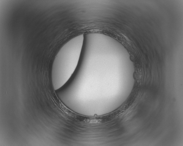 X0000076440553200610061028
