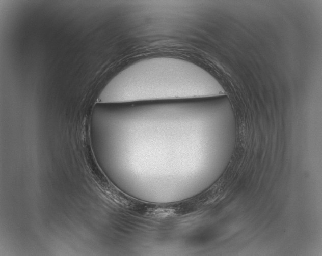 X0000076440554200610061028