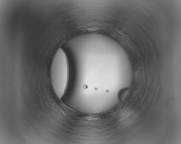 X0000076440555200610061028