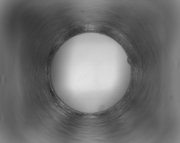 X0000076440557200610061028