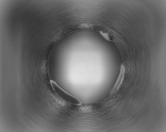 X0000076440560200610061028