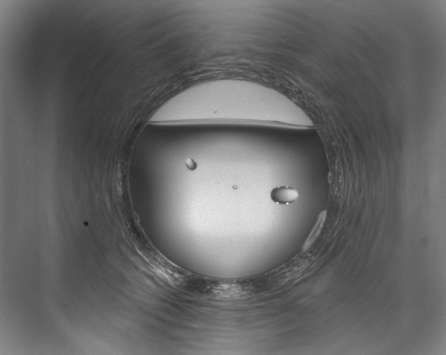 X0000076440562200610061028