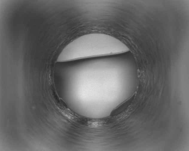 X0000076440564200610061028
