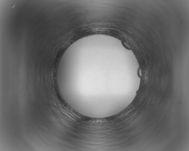 X0000076440567200610061028