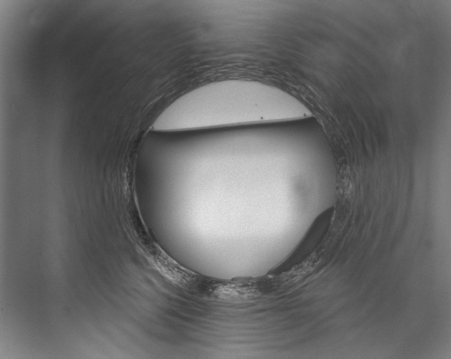 X0000076440568200610061028