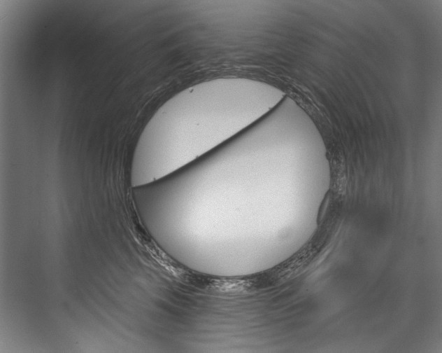 X0000076440569200610061028