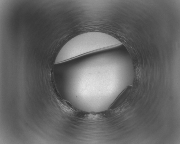 X0000076440570200610061028