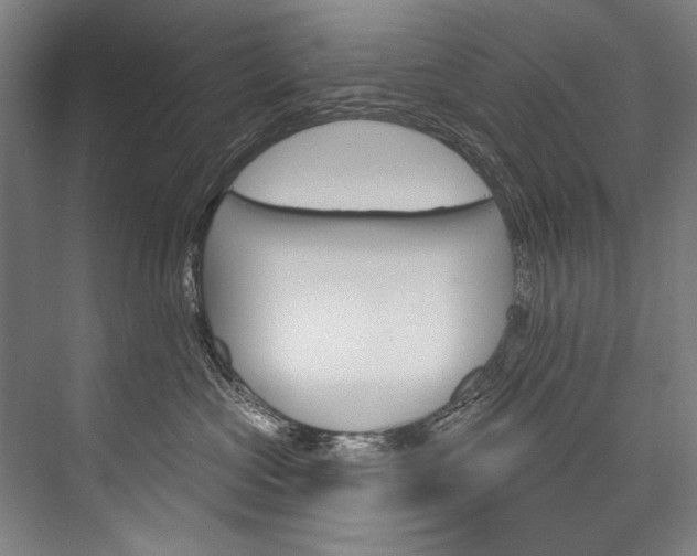 X0000076440573200610061028