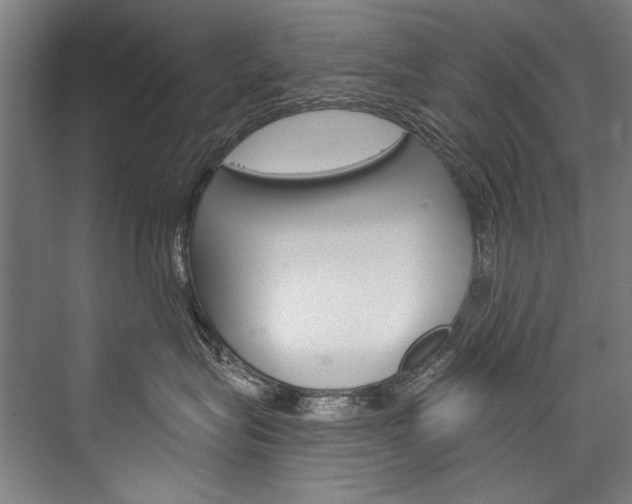 X0000076440575200610061028