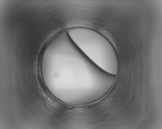 X0000076440578200610061027