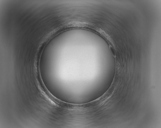 X0000076440581200610061027