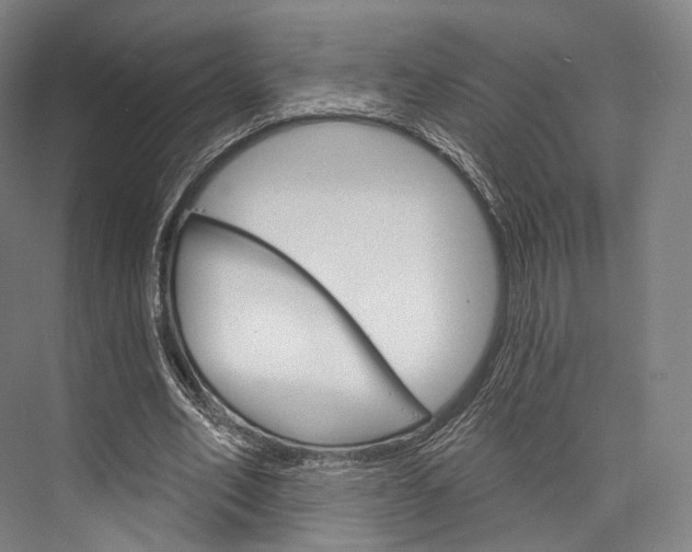 X0000076440582200610061027