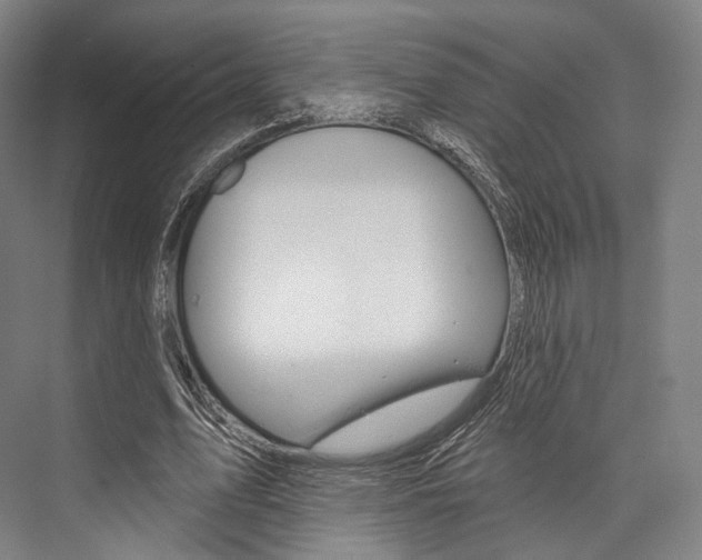 X0000076440583200610061027