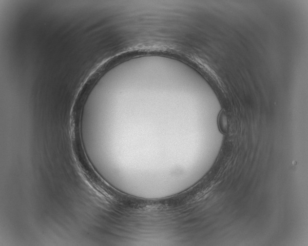 X0000076440584200610061027