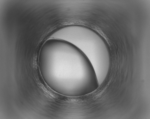 X0000076440585200610061027