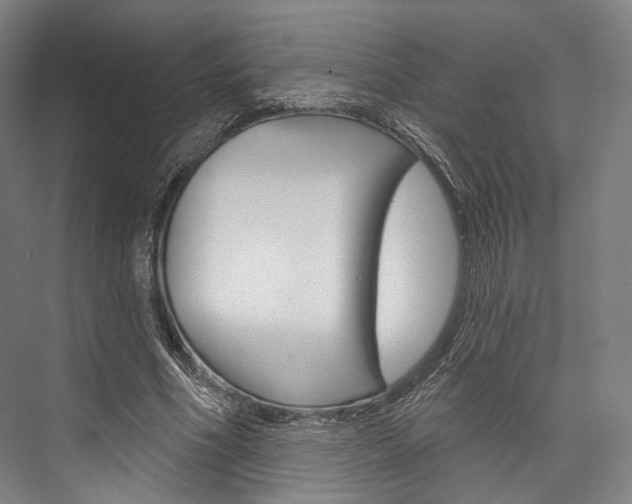X0000076440586200610061027