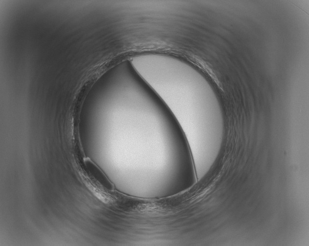 X0000076440589200610061027