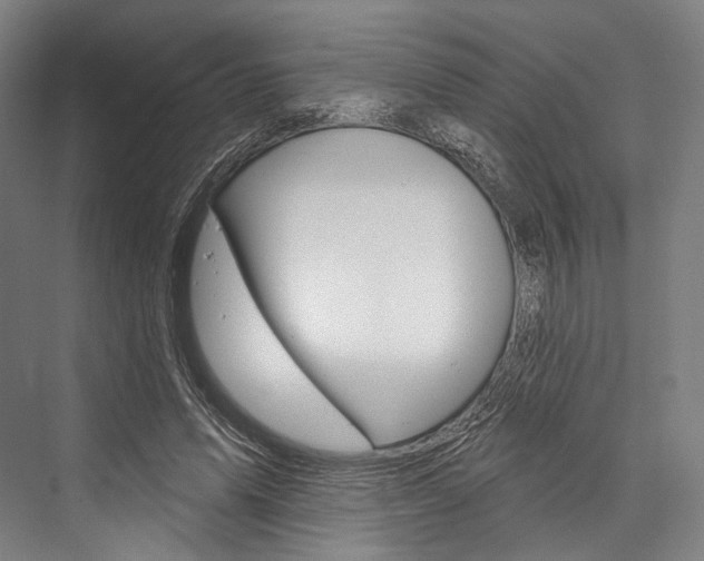 X0000076440591200610061027