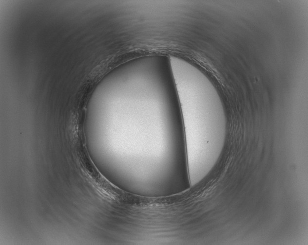 X0000076440593200610061027