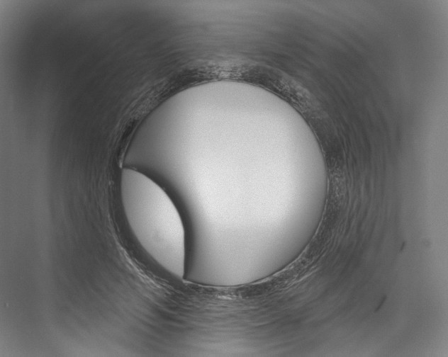 X0000076440594200610061027