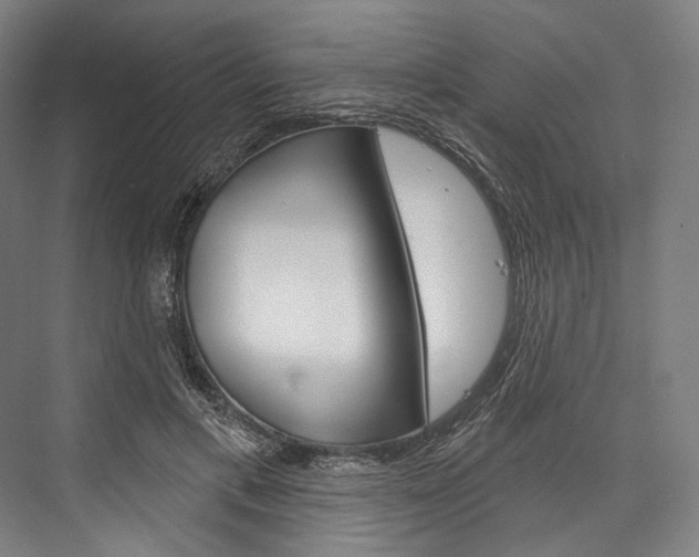 X0000076440597200610061027