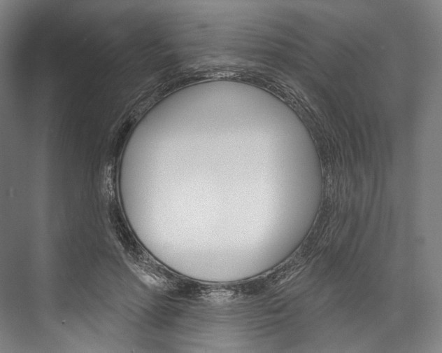 X0000076440598200610061027