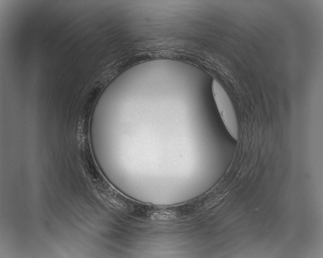 X0000076440599200610061027